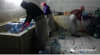 桶装水内幕曝光 重复回收桶与一次性滤芯，哪个更安全？